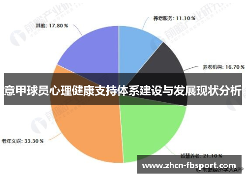 意甲球员心理健康支持体系建设与发展现状分析