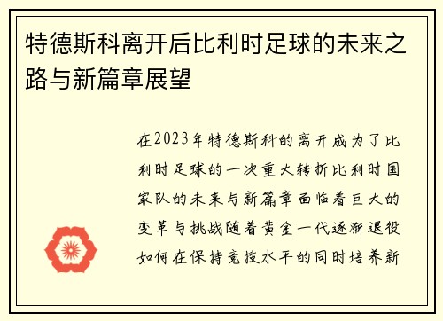 特德斯科离开后比利时足球的未来之路与新篇章展望
